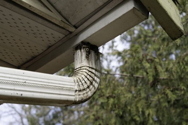 Cost of Roof Drain Replacement in Venice