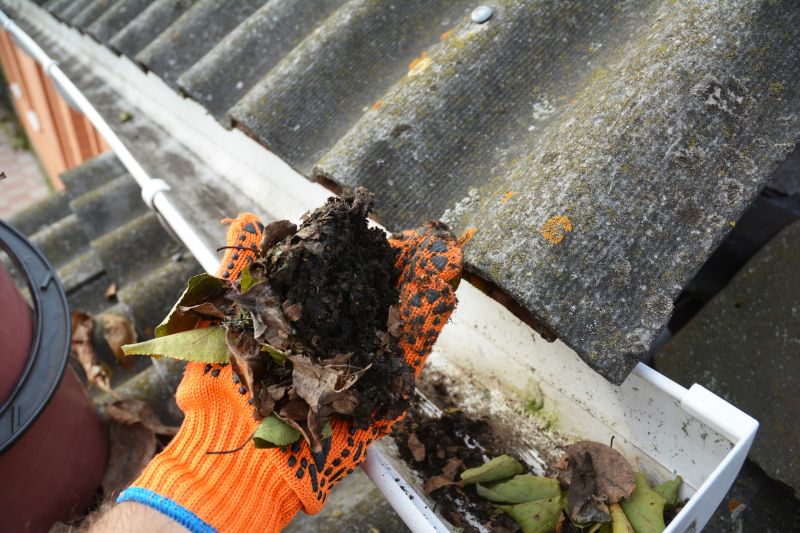 Cleaning Gutter System